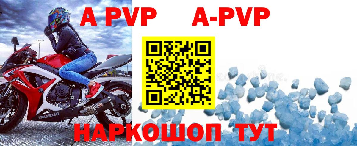 A PVP СК Новошахтинск
