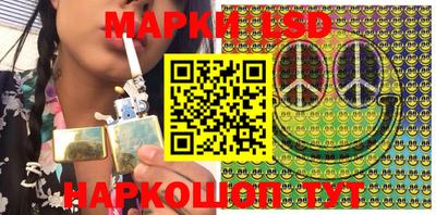 гидра Будённовск