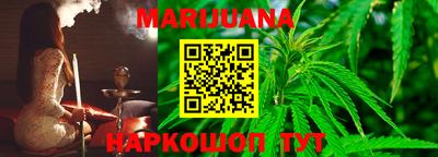 гидра Будённовск