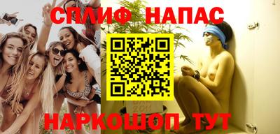 гидра Будённовск