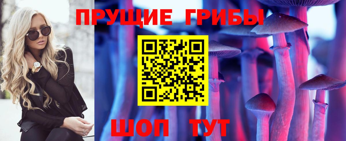 Галлюциногенные грибы MAGIC MUSHROOMS Новошахтинск